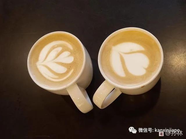 水上运动爱好者的好去处！新加坡加冷盆地快去打卡！