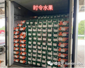 突发！一大型集装箱船在离开上海港时船体受损，船期延误！