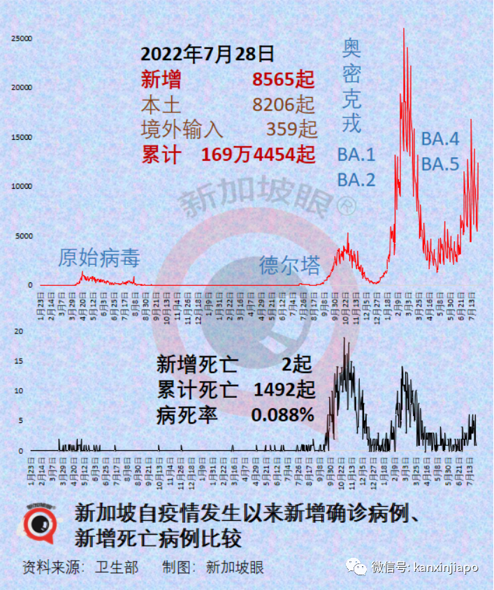 2700万人或将长期失去嗅觉和味觉,女性更难恢复;新加坡病例增长率六连降