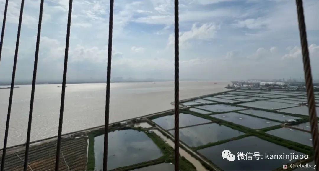 “疫情以来我一共经历了7次隔离，长达105天，但愿这是最后一次”