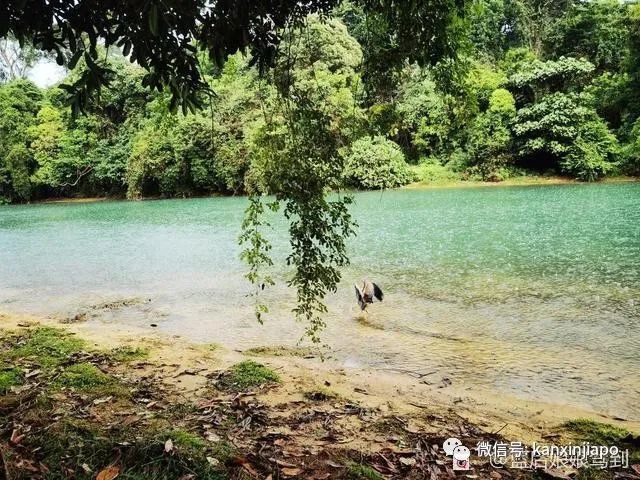新加坡“小九寨”，13.6公里徒步全记录