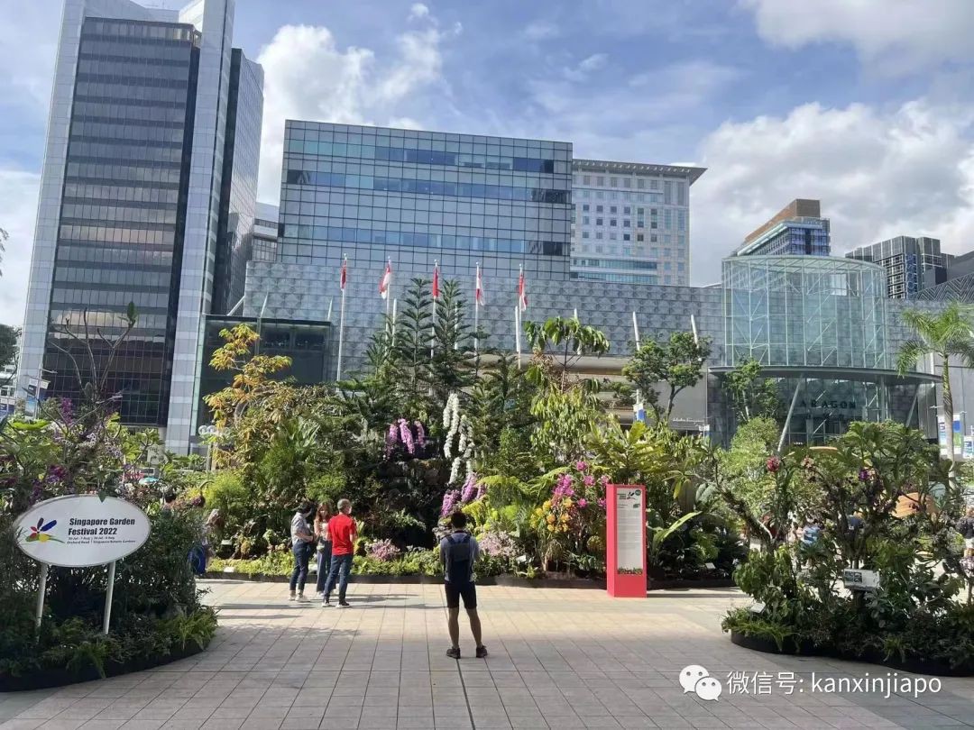 时隔四年新加坡花园节重磅回归，首次来到乌节路！
