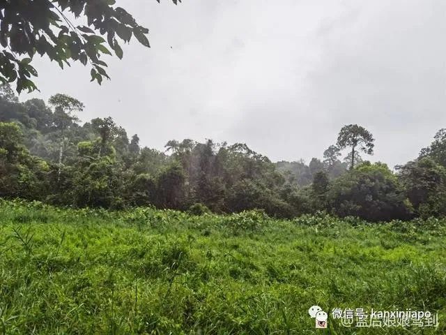 新加坡“小九寨”，13.6公里徒步全记录
