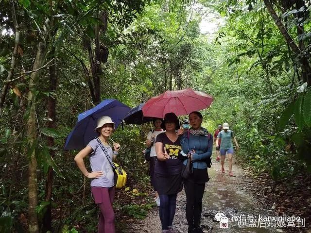 新加坡“小九寨”，13.6公里徒步全记录