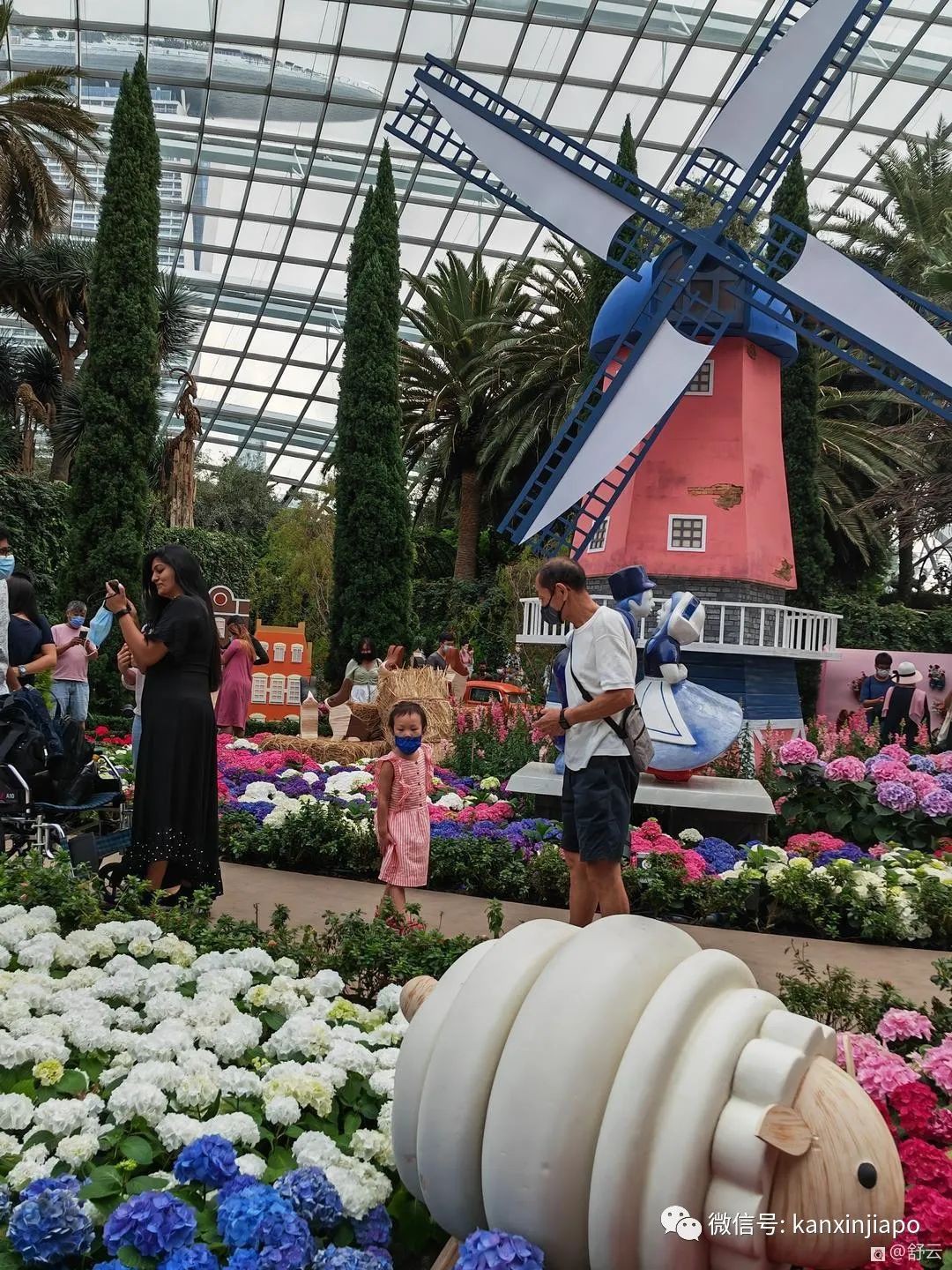 滨海湾花园荷兰绣球花展，绝美！看一眼就难忘