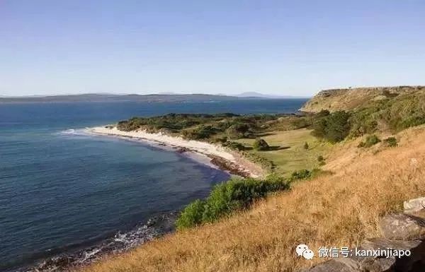 壕!新加坡“芽籠地王”12個月內連購3套豪宅,斥資超1億新幣