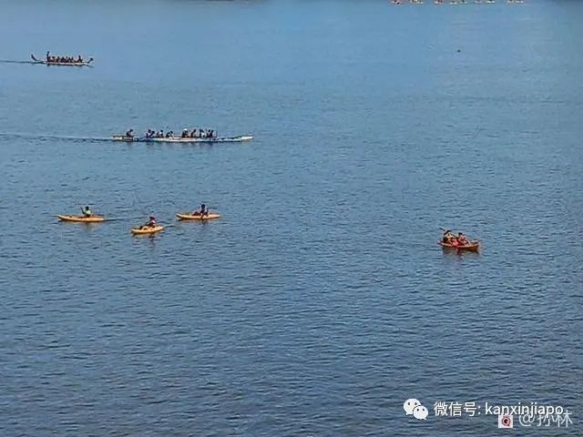 水上运动爱好者的好去处！新加坡加冷盆地快去打卡！