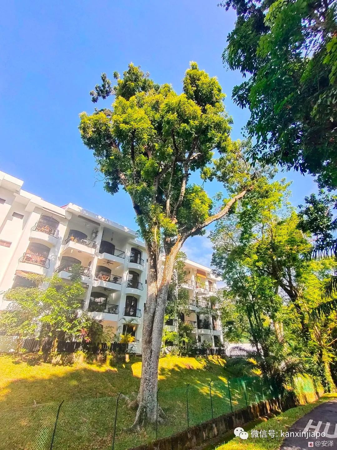 新加坡的这里如此浪漫又闲暇,在这工作就如度假