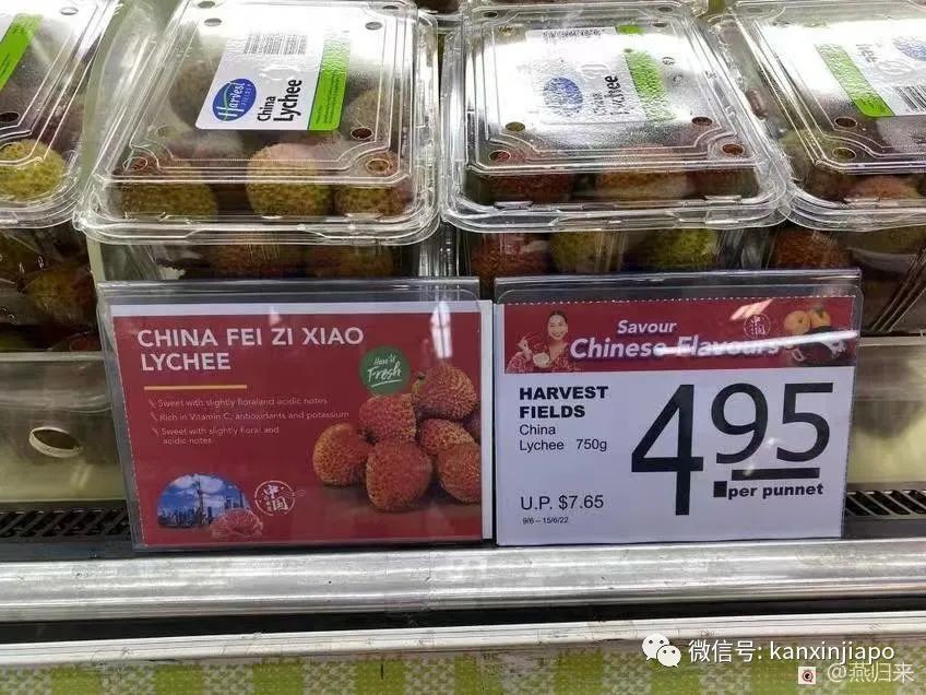 别再说新加坡物价贵了,100块人民币竟然能买到这么多东西!