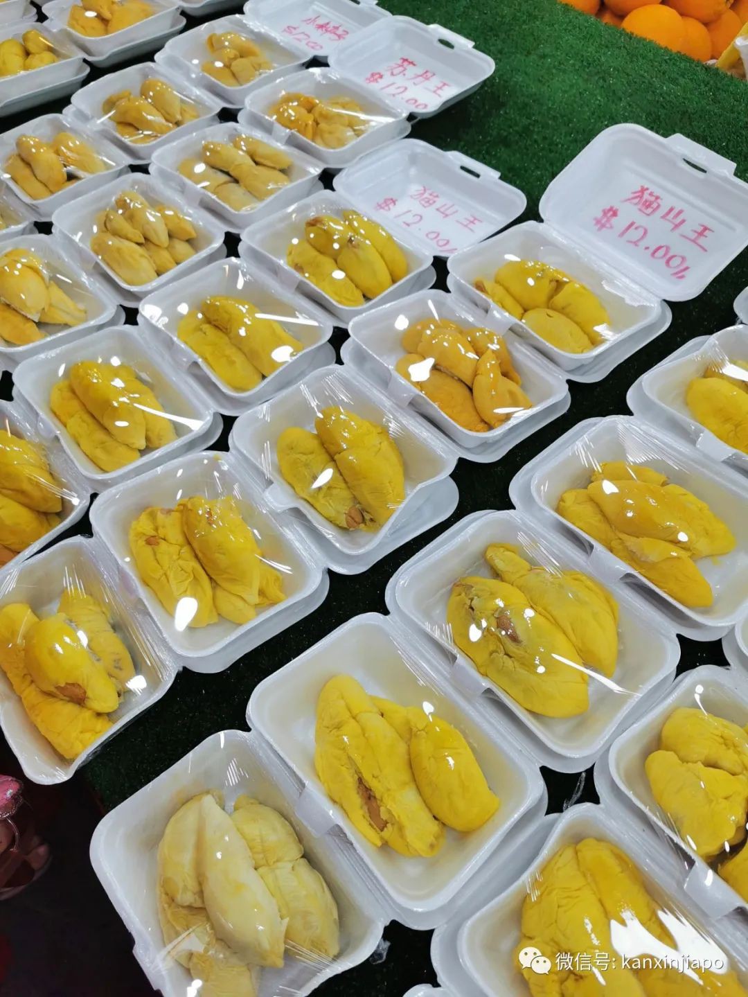 别再说新加坡物价贵了，100块人民币竟然能买到这么多东西！