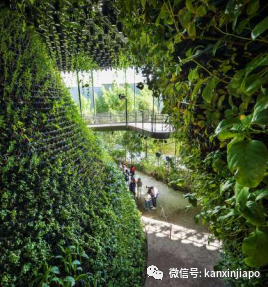 2022新加坡建築設計大獎出爐,一口氣帶你品鑒15棟全島最佳建築