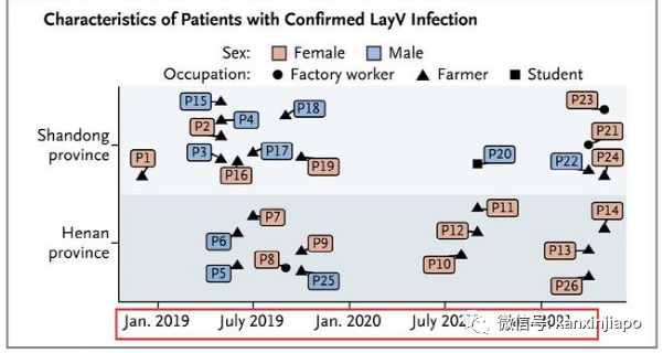 新加坡專家：在中國發現的Langya病毒不存在全球大流行的風險