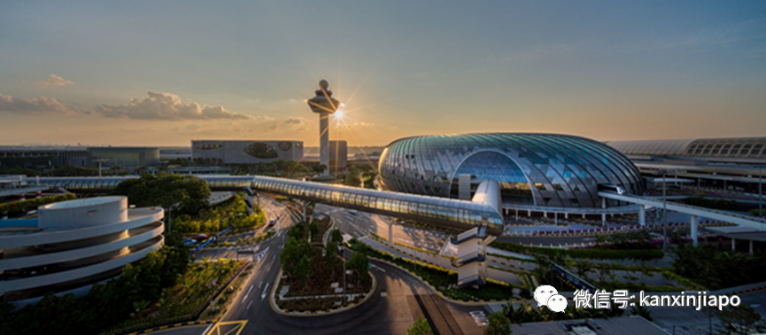 新加坡机场客流量半年翻四倍，达到疫前58%，航空领域大缺人