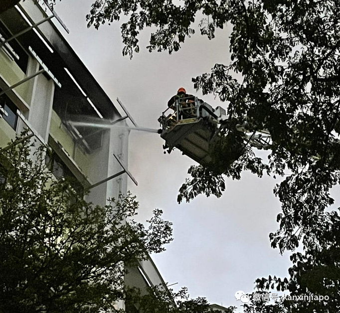 新加坡组屋大火烧死一人,翌日死灰复燃居民再疏散
