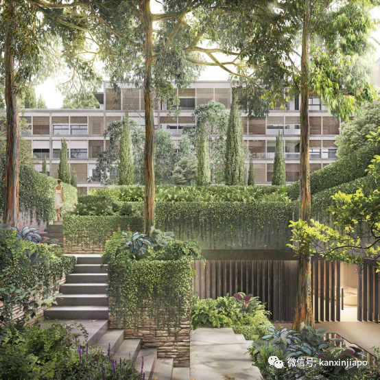 2022新加坡建築設計大獎出爐,一口氣帶你品鑒15棟全島最佳建築