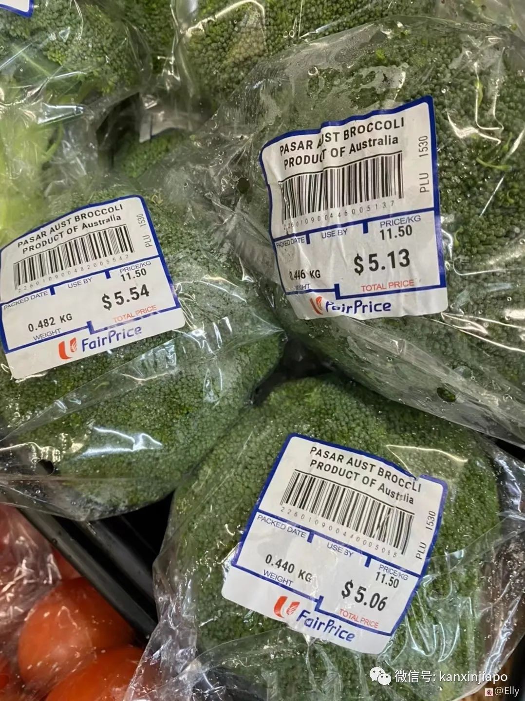 别再说新加坡物价贵了，100块人民币竟然能买到这么多东西！