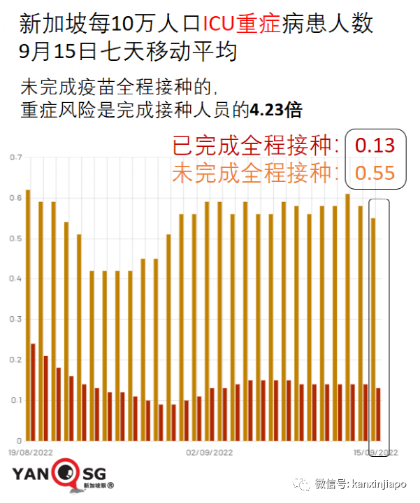 奥密克戎BA.5已成新加坡主流病毒,感染者占新增病例的93%