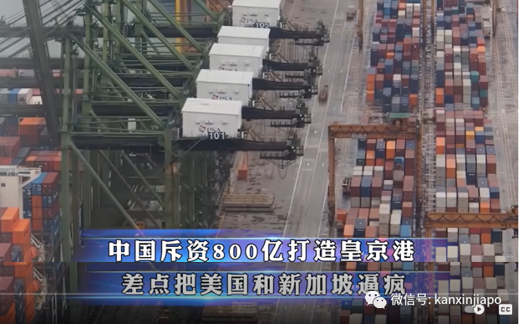 新加坡要建全球最大全自動化港口;曾讓坡“哭暈在廁所”的皇京港東山再起