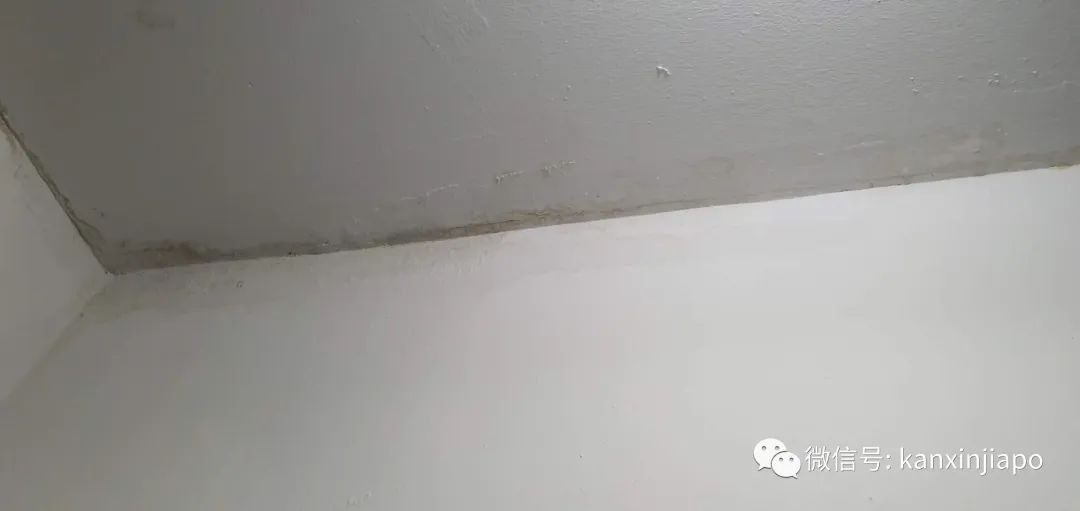 “滂沱大雨，说的不光是今早的新加坡，还是我家”，漏水半年无人管，上报议员也没用！