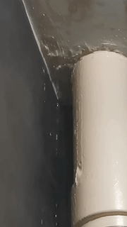 “滂沱大雨,说的不光是今早的新加坡,还是我家”,漏水半年无人管,上报议员也没用!