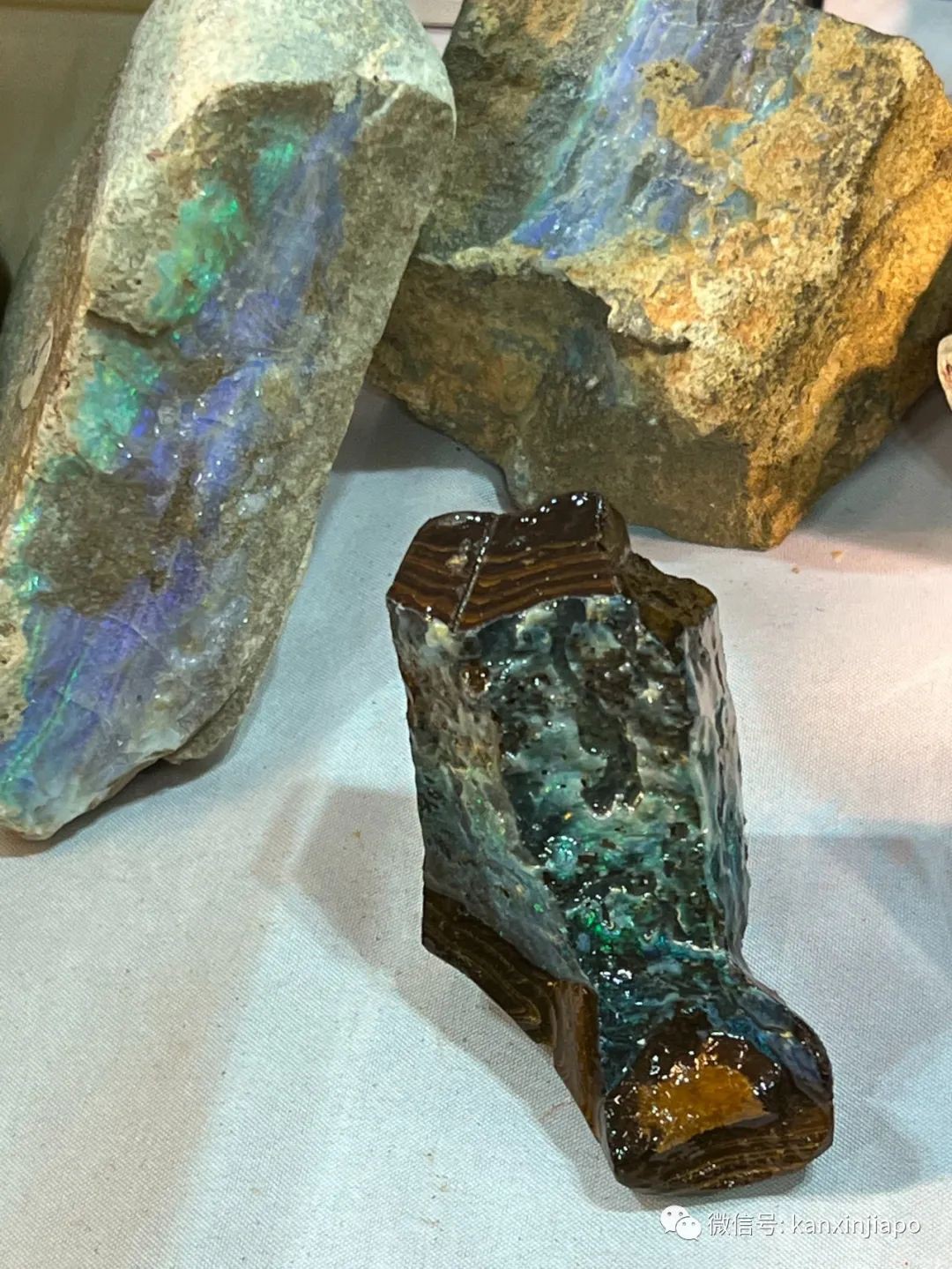 揭秘新加坡最大面額鈔票!還有中國古代金元寶和英女王紀念幣