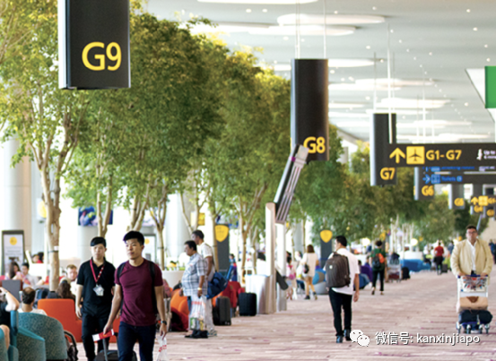 上调多项费用！新加坡樟宜机场将对乘客增收这些钱，后续还会涨