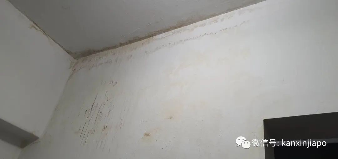 “滂沱大雨,说的不光是今早的新加坡,还是我家”,漏水半年无人管,上报议员也没用!