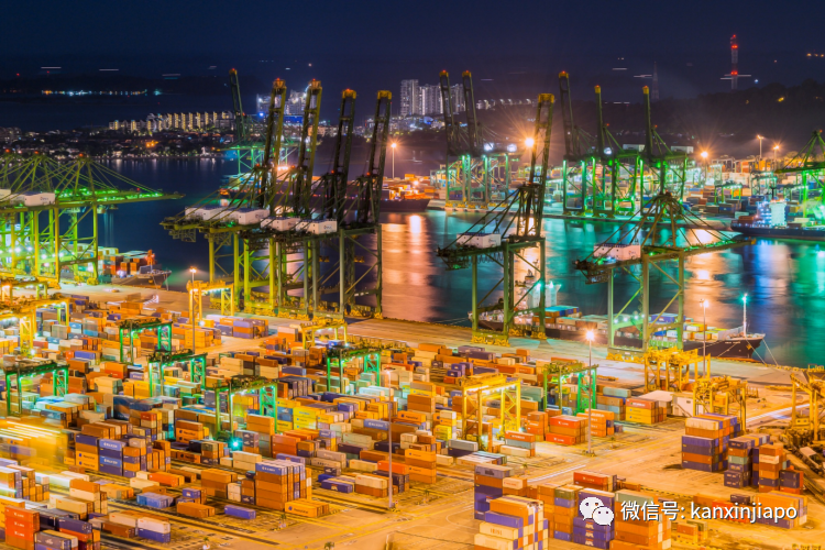 新加坡要建全球最大全自動化港口;曾讓坡“哭暈在廁所”的皇京港東山再起