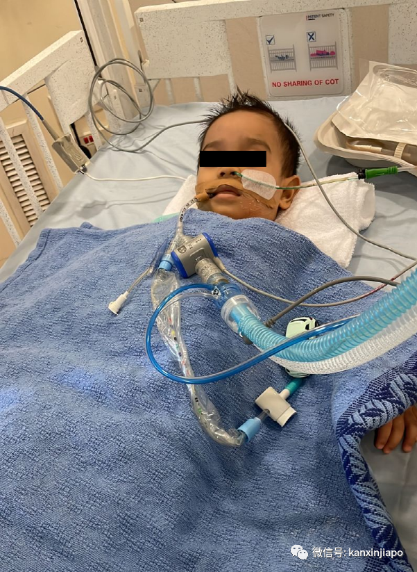 新加坡出现第三起儿童死亡病例，3岁女童住院一月最终病逝...