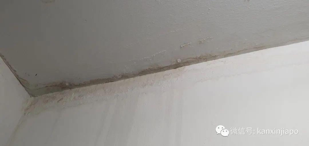 “滂沱大雨,说的不光是今早的新加坡,还是我家”,漏水半年无人管,上报议员也没用!