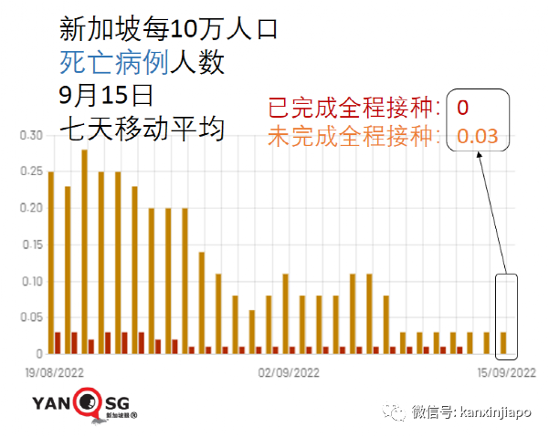 奥密克戎BA.5已成新加坡主流病毒,感染者占新增病例的93%