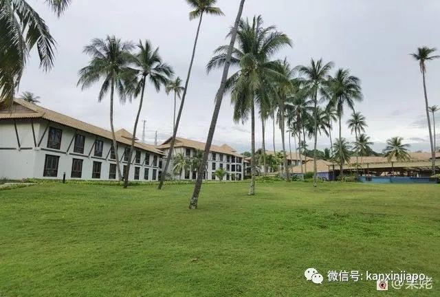“在新加坡的异乡人们，我想家了，你们呢？”