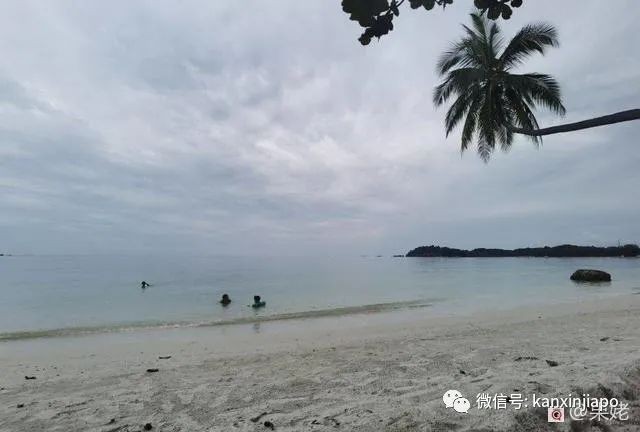 “在新加坡的异乡人们，我想家了，你们呢？”