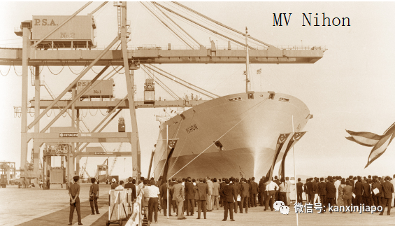 新加坡要建全球最大全自動化港口;曾讓坡“哭暈在廁所”的皇京港東山再起