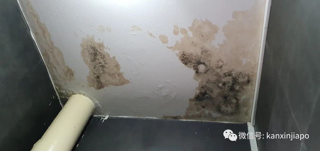 “滂沱大雨,说的不光是今早的新加坡,还是我家”,漏水半年无人管,上报议员也没用!
