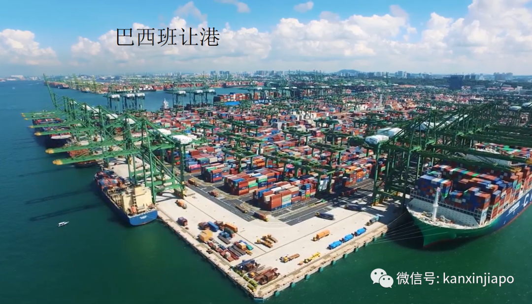 新加坡要建全球最大全自動化港口;曾讓坡“哭暈在廁所”的皇京港東山再起