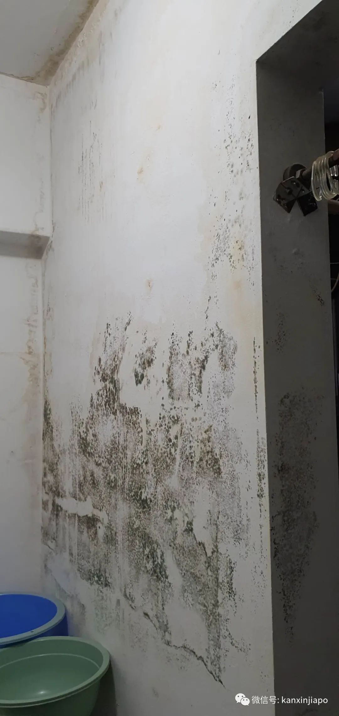 “滂沱大雨,说的不光是今早的新加坡,还是我家”,漏水半年无人管,上报议员也没用!