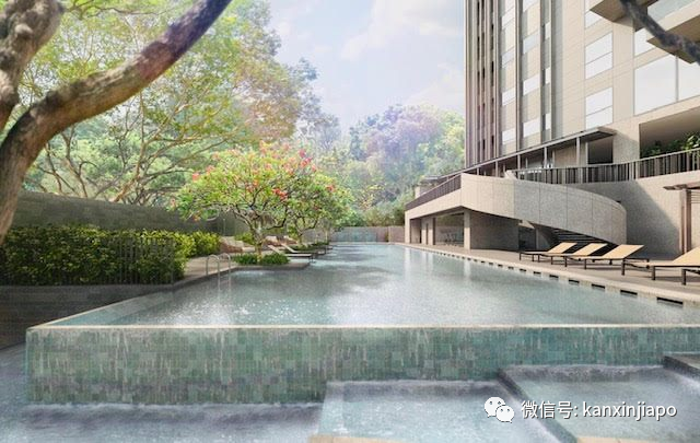 中国富豪又出手“打包”了！这次是6000万新币的乌节路豪华公寓