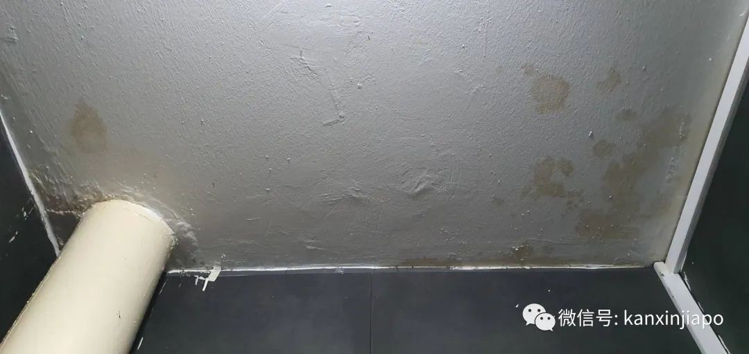 “滂沱大雨，说的不光是今早的新加坡，还是我家”，漏水半年无人管，上报议员也没用！