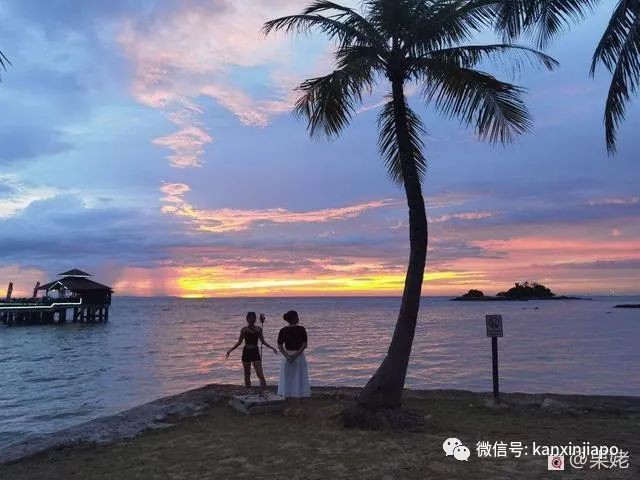 “在新加坡的异乡人们，我想家了，你们呢？”