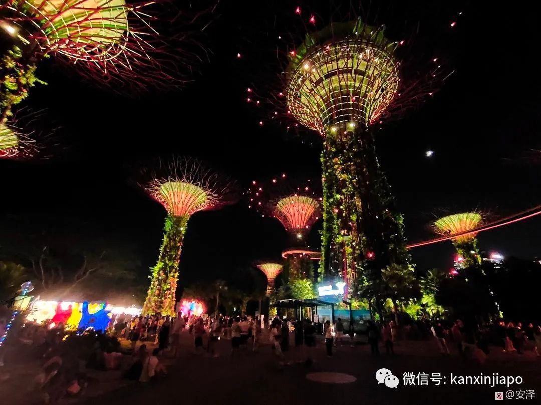 浪漫夢幻的濱海灣花園燈光秀，你去看了嗎？