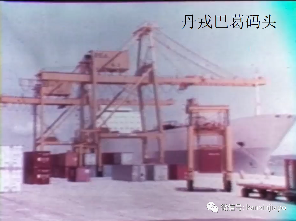 新加坡要建全球最大全自動化港口;曾讓坡“哭暈在廁所”的皇京港東山再起