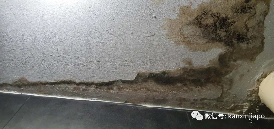 “滂沱大雨,说的不光是今早的新加坡,还是我家”,漏水半年无人管,上报议员也没用!