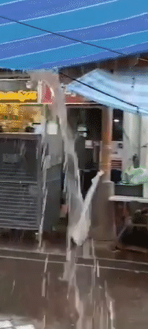 “滂沱大雨,说的不光是今早的新加坡,还是我家”,漏水半年无人管,上报议员也没用!