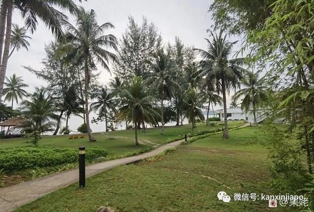 “在新加坡的异乡人们，我想家了，你们呢？”