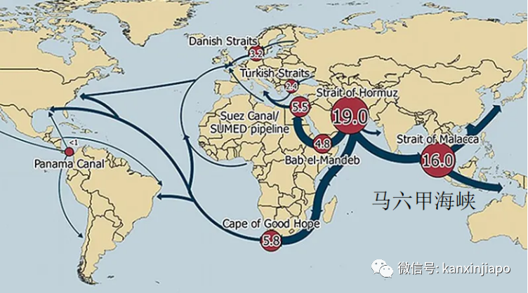 新加坡要建全球最大全自動化港口;曾讓坡“哭暈在廁所”的皇京港東山再起