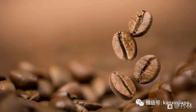因咖啡的香醇而爱上，从此走上了不归路...