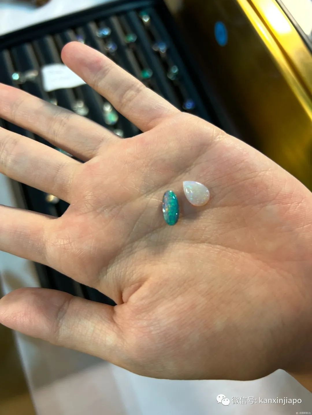 揭秘新加坡最大面額鈔票!還有中國古代金元寶和英女王紀念幣