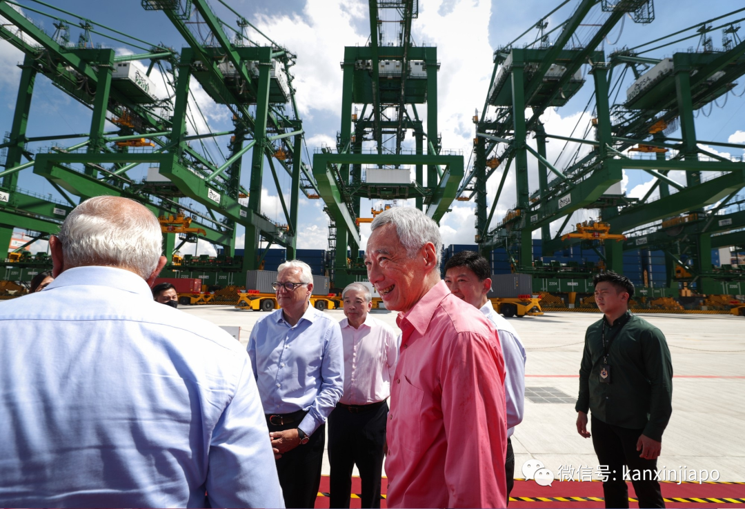 新加坡要建全球最大全自動化港口;曾讓坡“哭暈在廁所”的皇京港東山再起