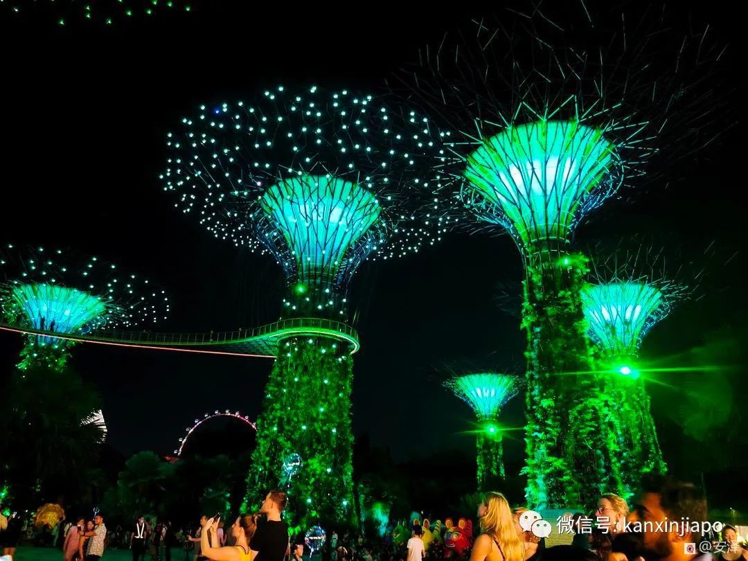 浪漫夢幻的濱海灣花園燈光秀，你去看了嗎？